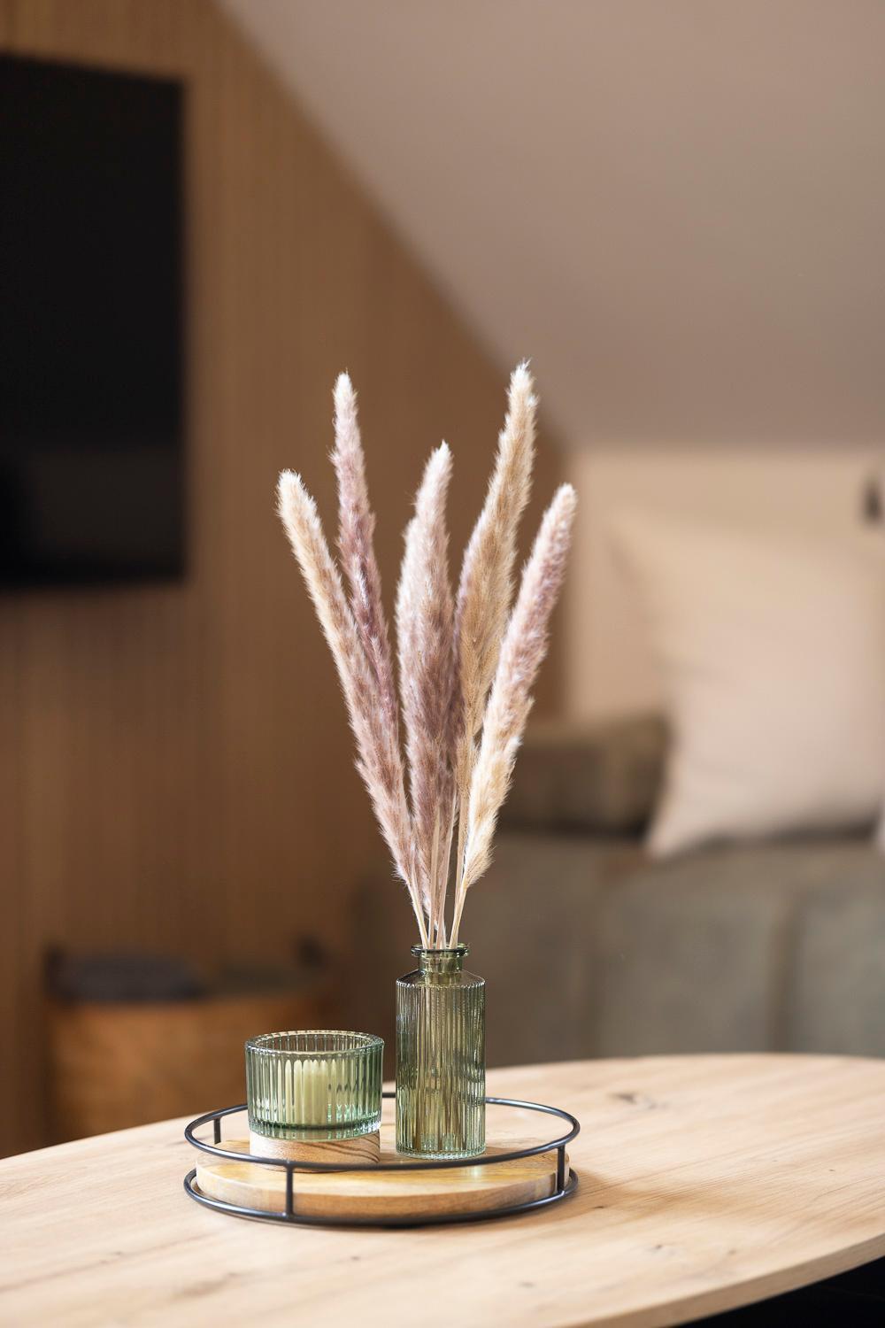 Apartman Manuel Horní Planá 外观 照片